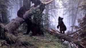 Третьяковская галерея экскурсия