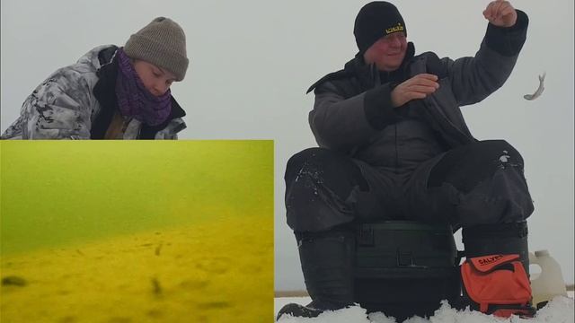 Ловля плотвы зимой с подводной камерой калипсо смотреть онлайн