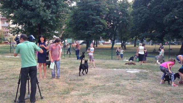 Площадка для выгула и дрессировки собак в Харькове на ул.Плехановской смотреть онлайн