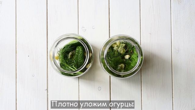? Маринованные огурцы с кориандром на зиму — видео рецепт смотреть онлайн
