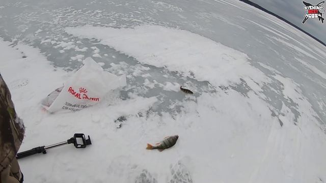 ПОСЛЕДНИЙ ЛЕД? РЫБАЛКА на МОЖАЙСКОМ ВОДОХРАНИЛИЩЕ в МАРТЕ 20190316 смотреть онлайн