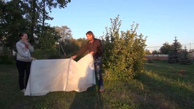 Купить парник в Тольятти. смотреть онлайн