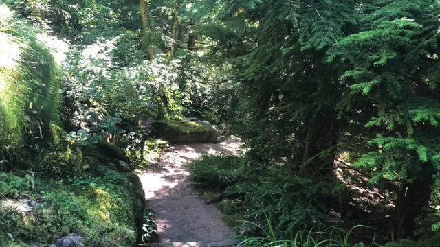 Dan Andersson - Gengångare смотреть онлайн