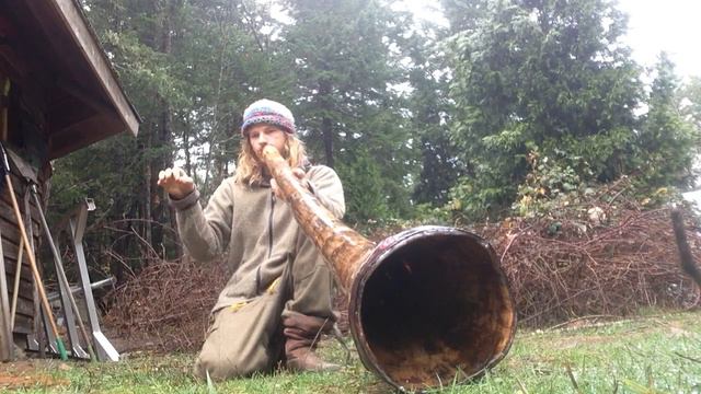 The "Sun Dragon" - 9inch bell Sonoran Agave by Machu Didgeridoo смотреть онлайн