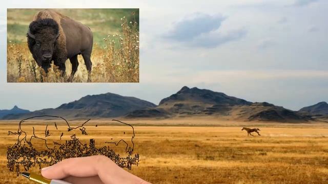 Энциклопедия для детей Развивающие видео для малышей Интересные факты о животных Луговые животные смотреть онлайн