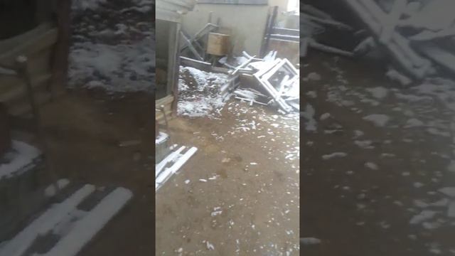 20 апреля 21го года кормление кур смотреть онлайн