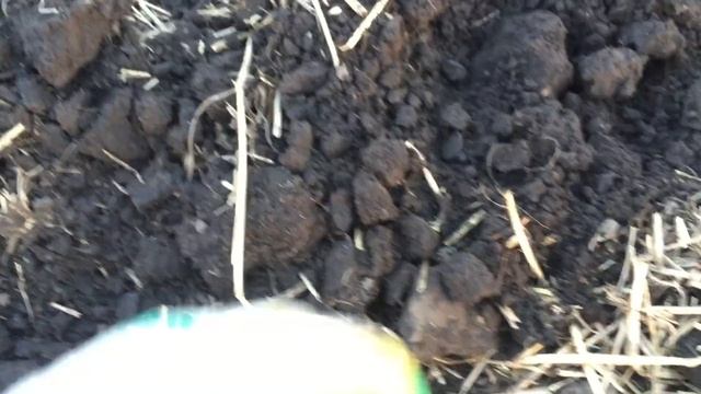 нашли походный чайник в ручье а там???приключения в поисках кладов смотреть онлайн