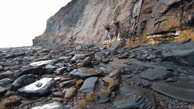 Fossil Hunter Discovers Ammonite in Large Pyrite Rock смотреть онлайн