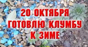 20 октября. Привожу в порядок клумбу.mp4