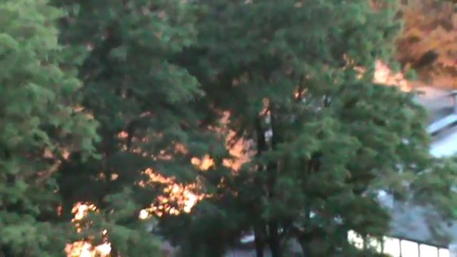 пожар на Кишеневской Бар Сказка смотреть онлайн