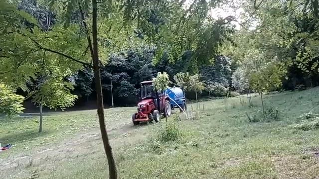 Как не нужно поливать деревья