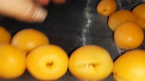 Сухофрукт из Абрикос ?? или- как сделать Курагу в домашних условиях ?