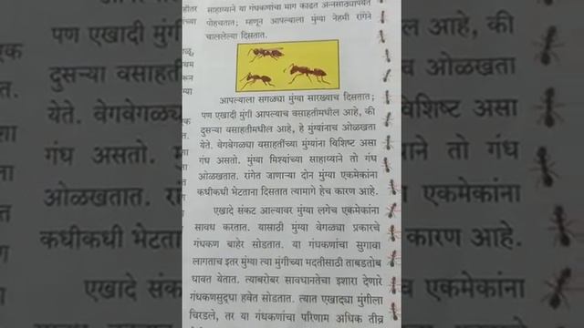 पाचवी वर्ग विषय मराठी पाठ 5 मुंग्यांच्या जगात смотреть онлайн