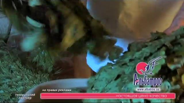 С легким паром! Бадерская баня Дормидонт. смотреть онлайн