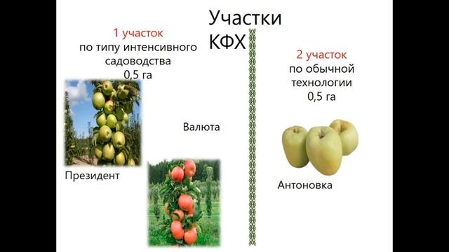 Бизнес планирование в сельском хозяйстве смотреть онлайн