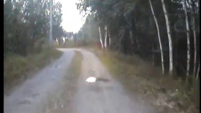 Веломаршрут "В гостях у змейки 2014" (часть 3) смотреть онлайн