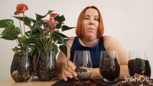 ГРУНТ для Антуриума. СОСТАВ и ПРОПОРЦИИ.