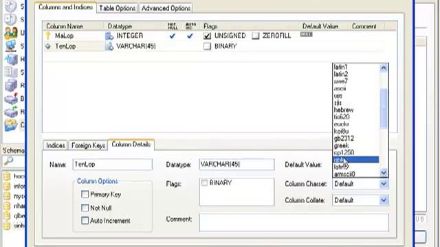 MySQL Administrator P1 - Tạo CSDL смотреть онлайн