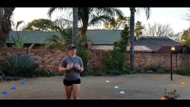 SESC 203 - SASS 1 - Agility Demo AV смотреть онлайн