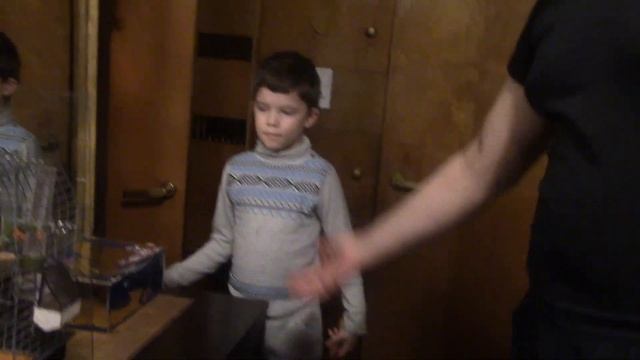 Превращаем попугая в поросенка! смотреть онлайн