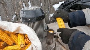 Дробим початки кукурузы.