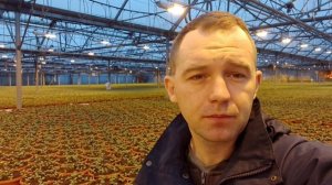 Работа в Норвегии. Сколько я получаю в месяц?