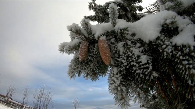 Переход осени в зиму смотреть онлайн