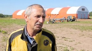 Условия разведения овец. Проблемы и преимущества овцеводства.