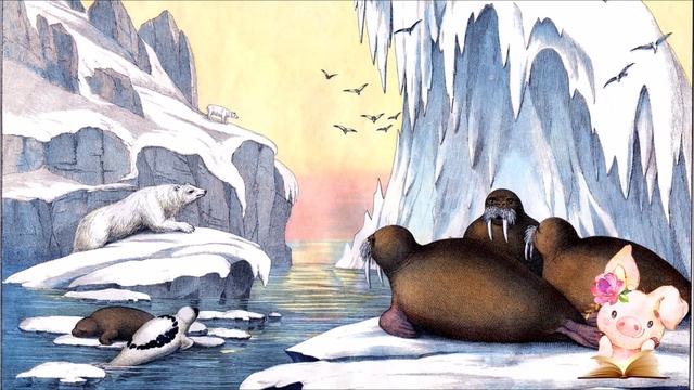 интересные факты о диких животных холодных стран смотреть онлайн