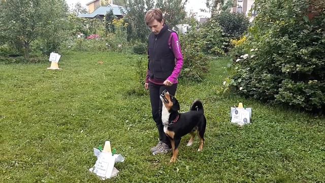 РО2 Морозова Христина энтлебухер зеннехунд Макс ралли обидиенс смотреть онлайн