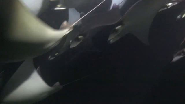 The Mysterious Gulf Of California. Таинственный Калифорнийский залив.