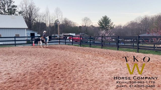 #3 Capture My Image ~ 2023 Great American Ranch and Trail Horse Sale ~ Pony Session ~ Video 1 смотреть онлайн