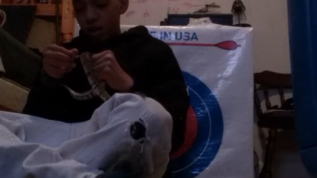 Ball python info смотреть онлайн