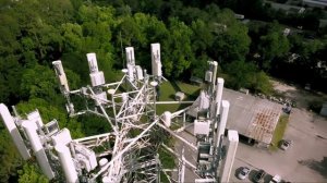 Мобильная связь 5g влияние на пчел и человека