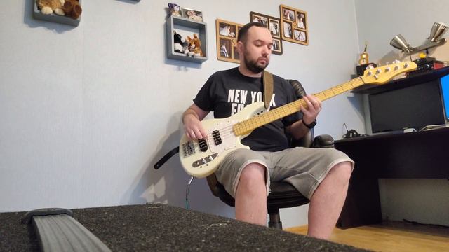 Hysteria (bass Cover)