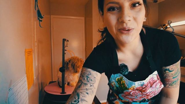 Америка как найти поручителя. Штат Западная Вирджиния смотреть онлайн