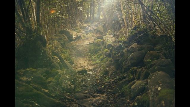 Meditation Music|Non Copyrighted|30 Miutes Of Spiritual Meditation Music|Subliminal For Happiness