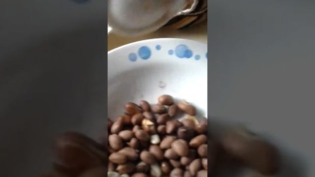 Анимационные Сериалы