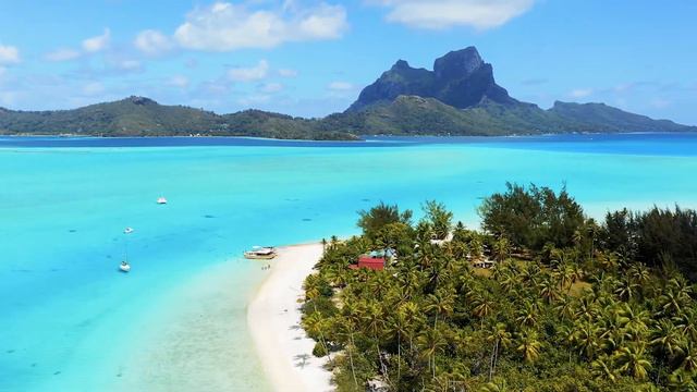 Oceans Song | Song for Kids | World Oceans Day смотреть онлайн