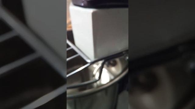 Gastromix тестомес смотреть онлайн