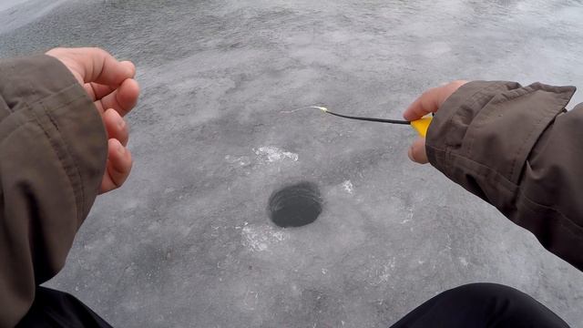 Огромные караси воруют удочки смотреть онлайн