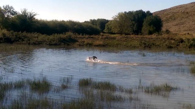 Баскунчи Таймас смотреть онлайн