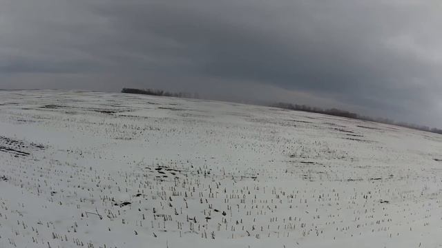 Рукожоп года или неудачная охота на зайца в день рожденья смотреть онлайн