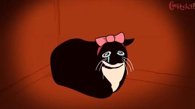 максвелл кот