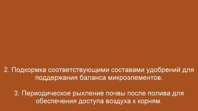 Уход за клубникой (земляникой) летом после плодоношения в Июле - августе смотреть онлайн