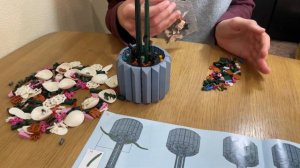 Сборка и обзор (ускорено) конструктора Орхидея (аналог Lego с AliExpress)