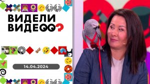 Видели видео? Выпуск от 14.04.2024
