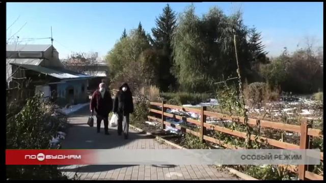 Обязательный масочный режим для посетителей ввели в Иркутском зоосаде смотреть онлайн