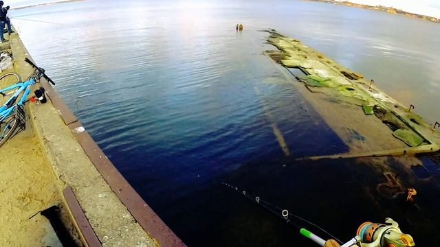 Ловля бычка и бельдюги в Балтийском море на поплавок! смотреть онлайн