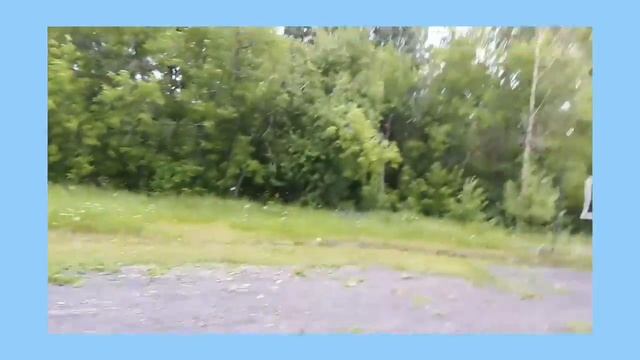 Vlog с собакой/как узнать что собака беременна? смотреть онлайн